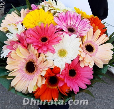 Bouquet of 15 colorful gerbera