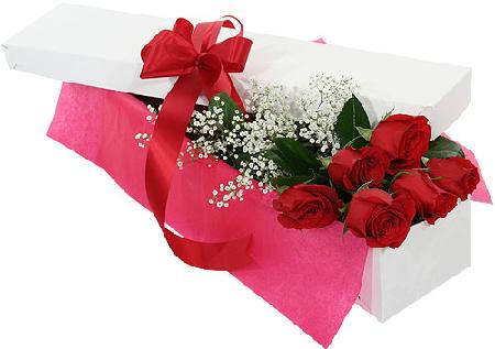 Boxed red roses